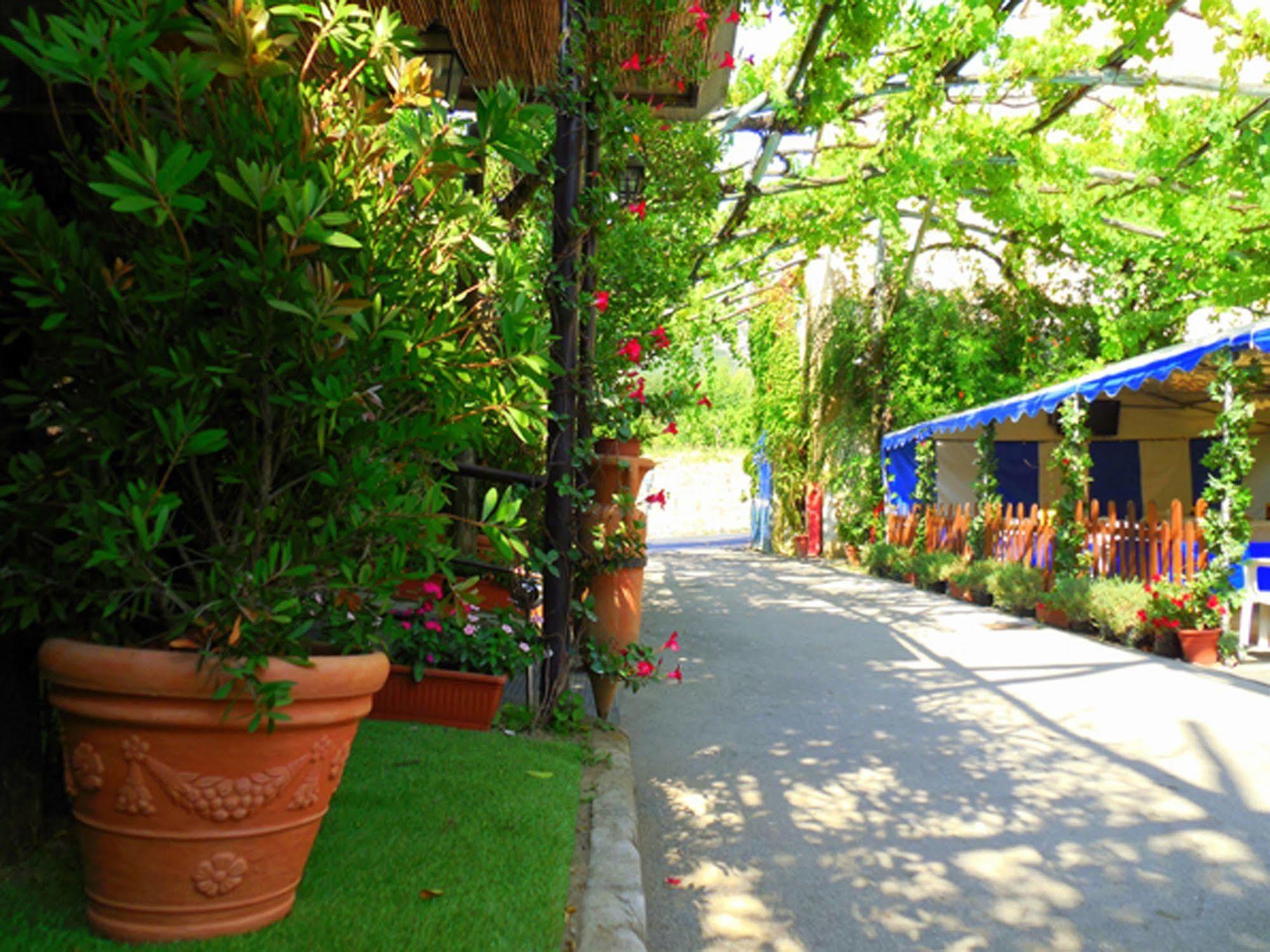Fiori D'Arancio Hotel Piano di Sorrento Kültér fotó